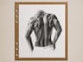 create realistic human figure and anatomy pencil drawings