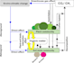 design scientific figure and graphical abstract