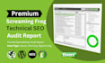 do website technical SEO audit by premium screaming frog