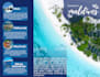 do travel agency website and SMM
