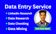 do accurate data entry and copy paste job