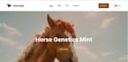 create and test smart contracts for your project