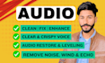 do audio enhance, audio editing and cleaning in adobe audition and audacity