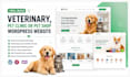 build a modern wordpress website for veterinary hospital, pet clinic or pet shop