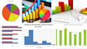 do statistical analysis, programming and business statistics