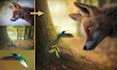 do picture manipulation using photoshop