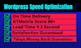 increase wordpress website speed and improve load time in 5 hours