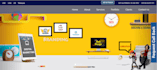 develop an online store for your brand
