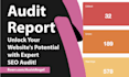 do seo audit of your website