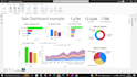 create pivot tables, charts, graphs, reports,  dashboard