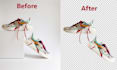 do clipping path and background removal with the use of a pen tool