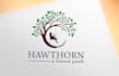natural, eco, landscape, wellness, medical, health care logo design