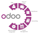 keep your business books in odoo erp