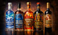 design vintage gin label vodka rum whiskey wine whisky bottl