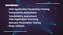 do website vulnerability assessment and penetration testing