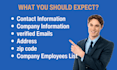 build local lead generation and local b2b lead generation