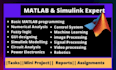do your matlab programming, simulink, image, signal processing and gui projects