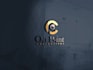design 2 classic Business logo in 48 hours