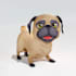 do any 3d video animation, 3d model, music video, medical, explainer animation