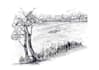hand draw architectural and landscape design sketches