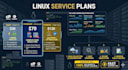 fix your linux server, cpanel, nginx, or dns issues