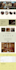 design and redesign wix website