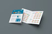 design custom infographics, info page and data visualization