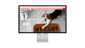 design or redesign existing shopify website or dropshipping store