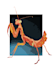 do insect and animal illustrations
