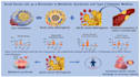 scientific illustration, figure and graphical abstract