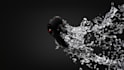 create stunning 3d product animation ads for ecommerce