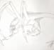 draw creatures or characters you have in mind