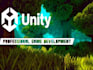 create a stunning and interactive 2d unity pixel art game