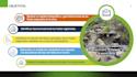 create customized slides with visual impact