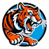 do unique tiger mascot logo design
