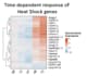 analyse rnaseq time series data