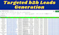 provide targated b2b lead generation