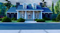 provide custom architectural drawings, 3d designs