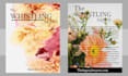 design professional book ebook cover design