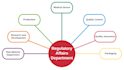 prepare ctd modules and cmc regulatory documents