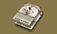 create corporate brochure, flyer, catalog and poster design