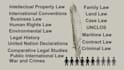 write  legal articles, essay, case briefs, assignments