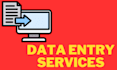 complete data entry projects with accuracy