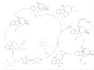 teach organic chemistry , inorganic chemistry and general chemistry