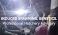 be your fish breeding and hatchery management consultant
