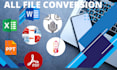 do file conversion in any format with professional look