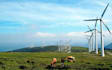 do renewable energy projects, microgrids design, reports, research articles