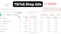 be your tik tok ads campaign manager