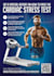 design flyers, brochures, posters, and standees for print