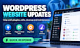 assist by updating your wordpress website